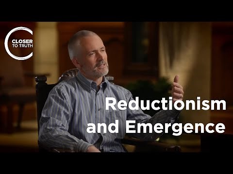 Alan Love - Philosophy of Reductionism & Emergence