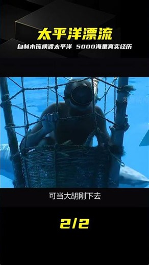 自制木筏橫渡太平洋5000海里，全程震撼 #太平洋 #漂流 #自制木筏 #真实事件 #生存