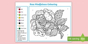 Rose Mindfulness Colour-by-Number