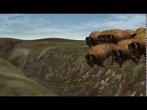 PoserWorld Bison Stampede