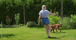 A woman plays with an energetic German Boxer in the backyard. The dog jumps high to catch a toy in a slow-motion video.