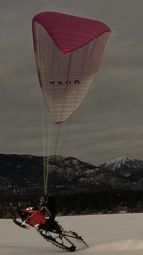 Mark Freeman on TikTok