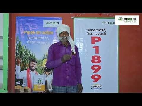 P1899 का भरोसा लगाओ कभी भी,मिलेगा ज़्यादा ही | P1899 | Budaun