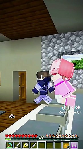 Using HACKS To Cheat In Minecraft Hide N' Seek!#minecraft #fyp #tiktok