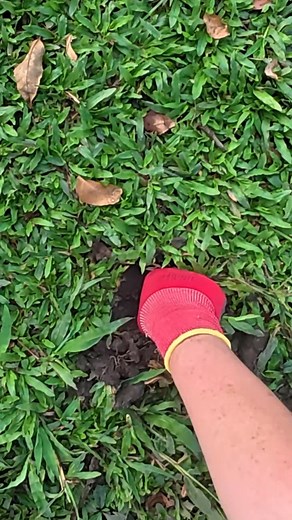 4.2K views · 28 reactions | Minelab Xterra Élite metal detector | Detector de metales y tesoros | Facebook