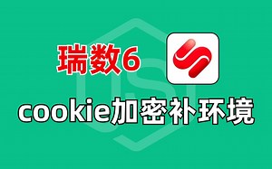 【Python爬虫】目前火爆市场的瑞数加密该如何处理? 补环境逆向搞定瑞数6代cookie解密