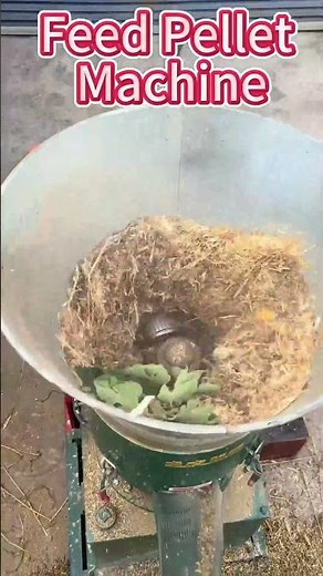 Feed Pellet Machine | Make High-Quality Animal Feed Pellets Easily#feedpelletmachine #shorts