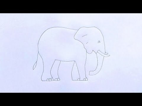 How To Draw Elephant Step By Step | Easy Elephant Drawing For Beginners