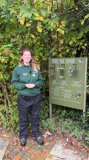 襁 Want to help the birds in your garden thrive? It all starts with a...