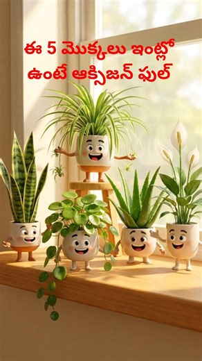 ఈ 5 మొక్కలు ఇంట్లో ఉంటే ఆక్సిజన్ ఫుల్! 🌿🏠 | 5 Best Indoor Plants