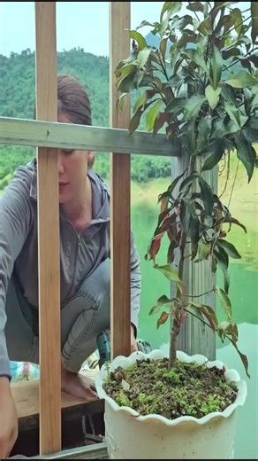 Building a Floating Wooden House with Surrounding Corridor