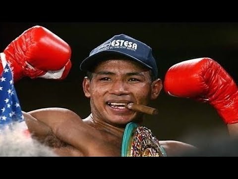 Ricardo Mayorga - Highlights / Knockouts