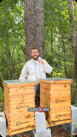 11K views · 6.7K reactions | Here’s our full price breakdown of getting 2 beehives for our backyard homestead! #homestead #foilhatgang #homesteader #selfsufficient #relatable #beekeeping #bees #savethebees #growyourownfood | B&R Homestead | Facebook