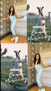 7.9K views · 40 reactions | Did you know? 1 in 3 adults over 65...