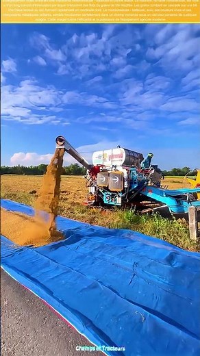 La moissonneuse - batteuse géante : Un symbole de l'efficacité agricole moderne