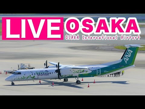 🔴 LIVE OSAKA ITAMI Airport ( JAPAN ) 2023/10/28 大阪伊丹空港 ライブカメラ