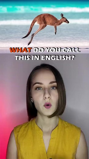 What do you call this in English? #vocabulary #englishgrammar #learnenglish | Learn English