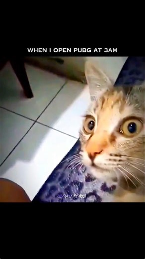 POV: You caught your brother online at 3AM 💀 || PUBG MOBILE / BGMI