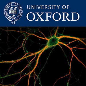 Half a World: What unilateral neglect tells us about space and the brain