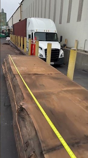 The Largest Live Edge Slabs Available #woodworking