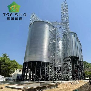 [Hot Item] 60ton Cone Bottom Silo with Concrete Foundation