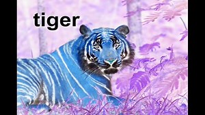 World Animals in G Major [Part 1]
