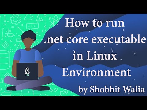 How to run .NET core executable app in Linux (Ubuntu) | Live Demo