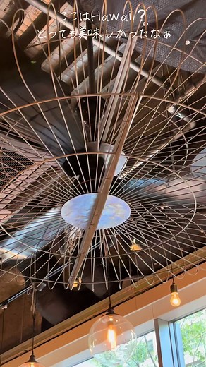 ハワイの美味しい料理を自宅で再現する方法