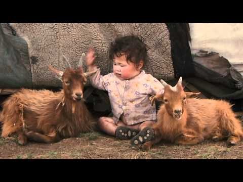 Babies Trailer - Official Trailer