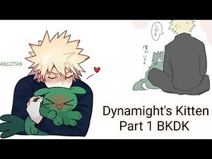 Dynamight's kitten/ Bkdk Texting Story Part 1 ( Neko Deku A.U )
