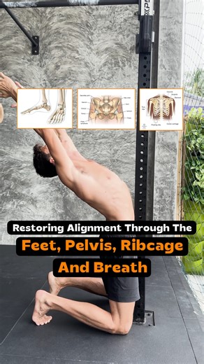 Daniel Maximov on Instagram: "Are you strugglong with scoliosis? Here's what most people don't realize. Comment POSTURE and I’ll send you the free self assessment. #posture #breathwork #alignment #corestability #movementhealth #maximove"