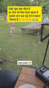 158K views · 5.8K reactions | 梁梁 #petlovers | pet lovers | Facebook