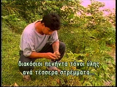 Τα θαυματα της φυσης "Αμαζονιος"