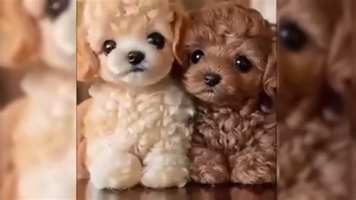 Watch Nicco Realistic Robot Puppy on Amazon Live