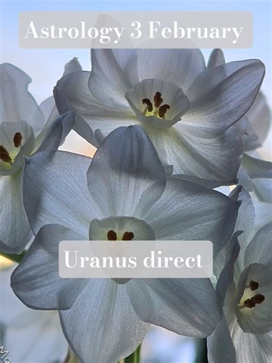 Astrology 3 February Uranus in Taurus direct Astrology Forecast 🌟 Experienced Astrologer 30 Years of Astrological Wisdom. Have a session | Personal Consultations | Mentor | Classes Want more astrology insights? Sign up for my newsletter & explore my Patreon! #dorothymorganastrologer #MercuryRetrograde #fullmoon #newmoon #Saturninaries #jupiterincancer #uranusingemini #alignwithnature #solareclipse #lunareclipse