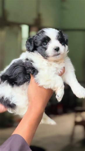 Explore Popular Destinations in Myanmar