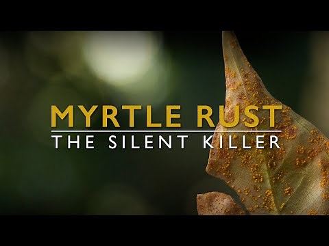 Myrtle rust, the silent killer