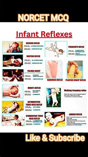 Infant Reflexes|Reflexes #nursingofficer #cho