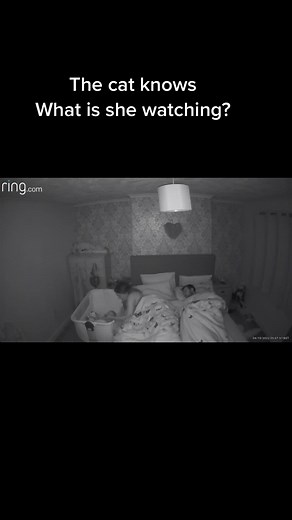 5am this morning #paranormal #bedroom #ring #ghostmode #caspersight #orbscaughtoncamera #slappedham #spirit #paranormalactivity #haunted #baby #cat @Caspersight