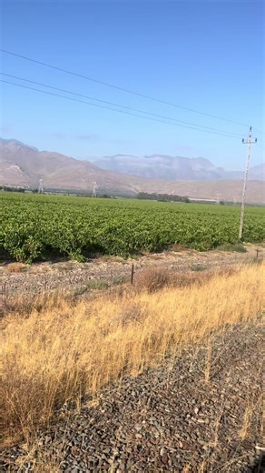 Josuasmit7🇿🇦 (@josuasmit7)’s videos with Silver Dream Machine - Instrumental - David Essex