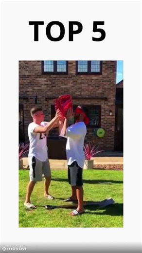 TOP 5 | Bro felt it 💀 #funny #feel #pain #funny #animals #2026 #brother #feeling