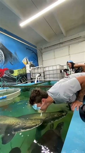 Arapaima Fish Facts That Will Blow Your Mind