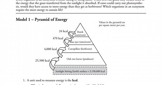POGIL - Ecological Pyramids.pdf