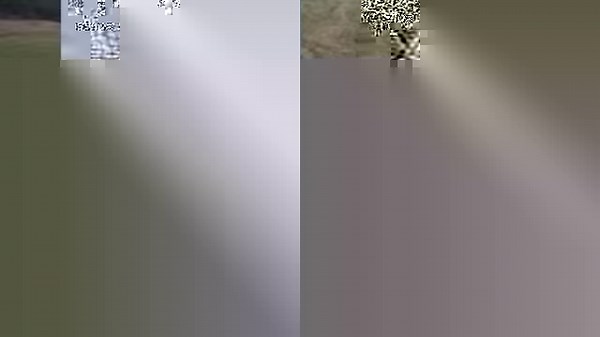 5.7K views · 229 reactions | The Woodland Trust has a brilliant nature recovery project here in Yorkshire, helping to plant 50,000 trees over five years. We're lending a hand - which means you are too, by buying our tea! P.S. Our whole company is involved, so there's Bettys and Taylors of Harrogate as well as us. | Yorkshire Tea | Facebook