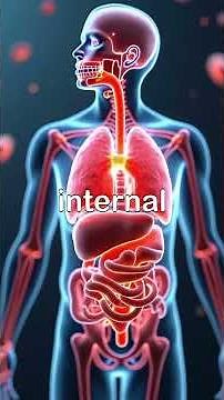 Cell Membrane Dynamics
