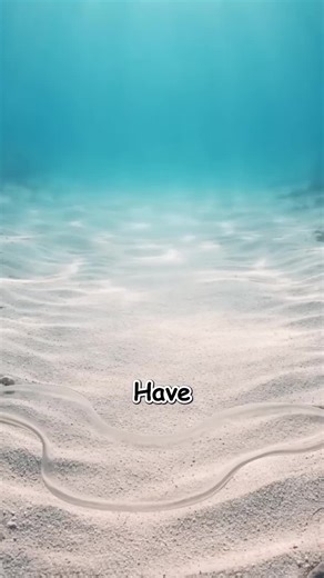 Understanding the Blobfish Phenomenon