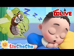 🔴 Buzz Buzz Mosquito Song | Learn Colors, Numbers and More!ㅣ‪@LiaChaCha_EN‬ Nursery Rhymes