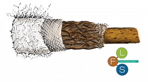 Living Filtration System - 2015 Biomimicry Global Design Challenge Finalist