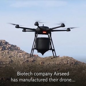 Drones plant millions of trees by firing seeds from above | The Independent