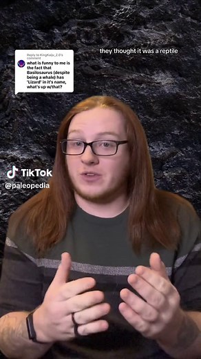 Replying to @KingKaiju_2.0 Basilosaurus is one of my favorite prehistoric animals. The first ancient whale ever discovered, alongside one of the largest, its name means “king lizard”. But why is that? Its a mammal, not a reptile. The answer is, perhaps unsurprisingly, very simple. Lets talk about it #Paleopedia #whale #whaletok #fossiltok #fossils #basilosaurus #evolution #prehistoricplanet #dinotok #dinosaur #paleontology #paleotok #paleontologytiktok